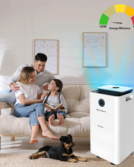 Влагоабсорбатор Rohnson R-91716, 240 W, 16 литраден, Йонизатор, Таймер, Бял